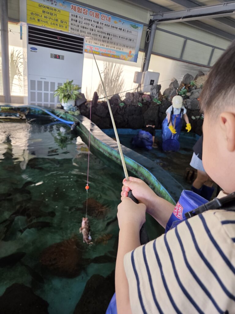 제주 아이 체험여행에서 직접 낚시에 성공한 어린이
